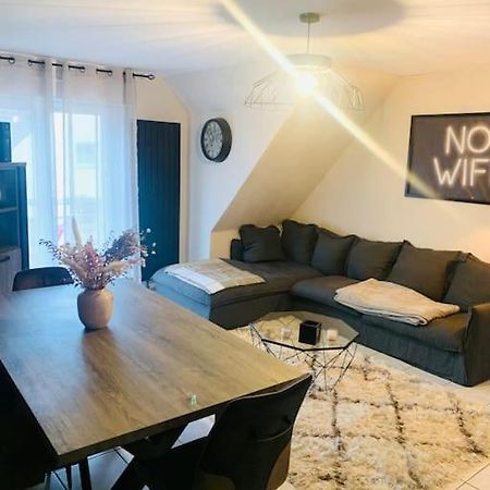 Charmant Appartement 2 Pieces Mundolsheim Eksteriør bilde